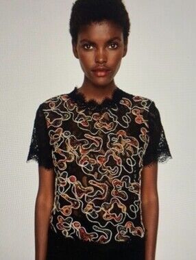 Zara Lace Blouse Featuring Multicolor Embroidery - Size Small